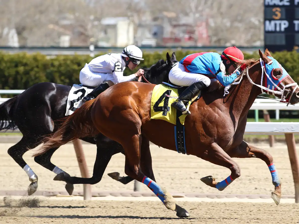 Apuesta hípica en la Rinconada - ⬆️ Click para Apuesta en línea 🔴 micasino.com