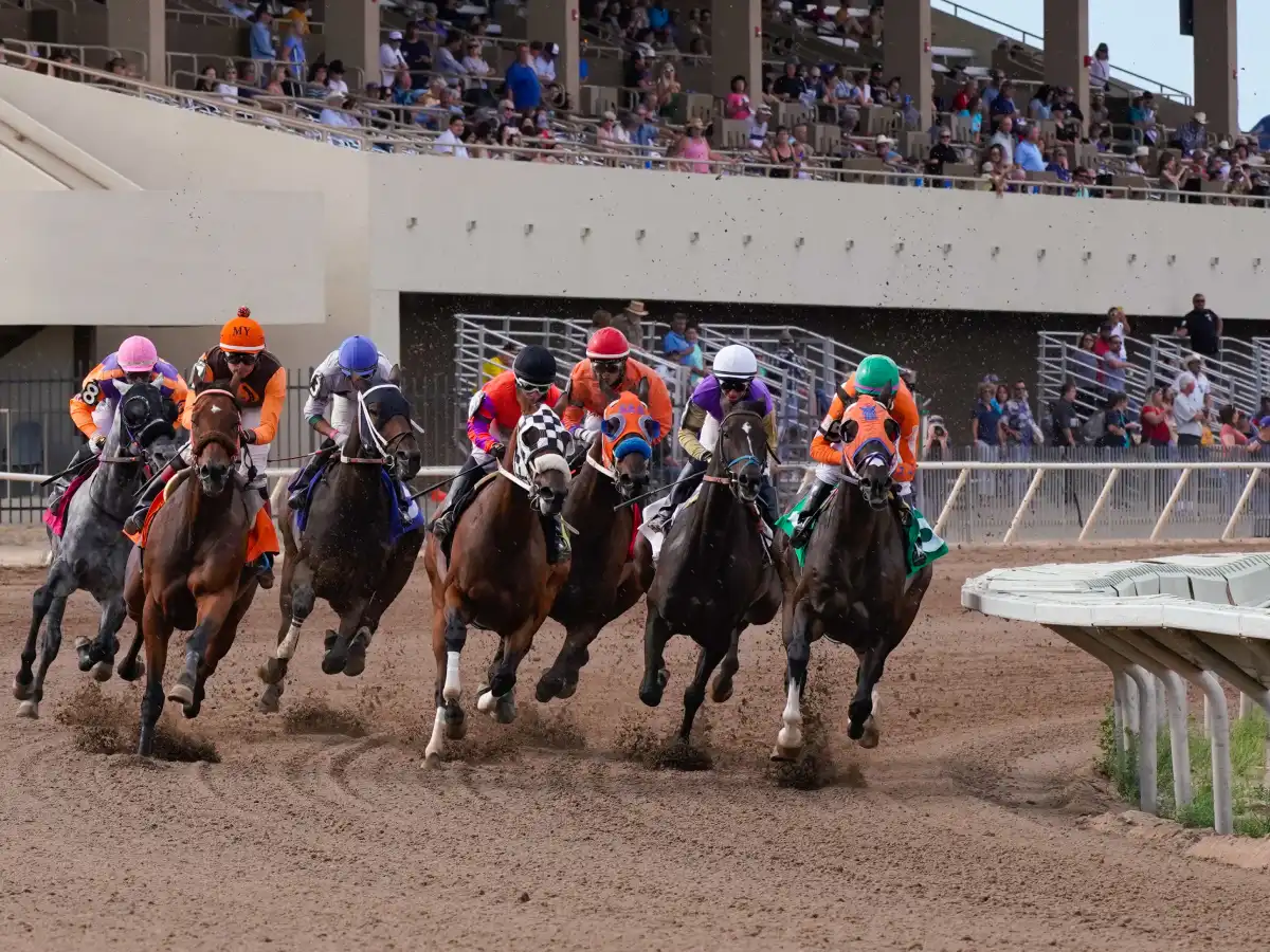 Gulfstream Park -⬆️ Click para Apuesta en línea 🔴 micasinocom