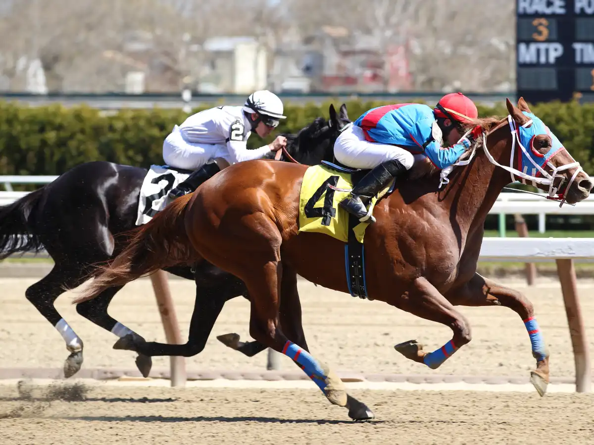 Hipismo La Rinconada- ⬆️ Click para Apuesta en línea 🔴 micasino.com