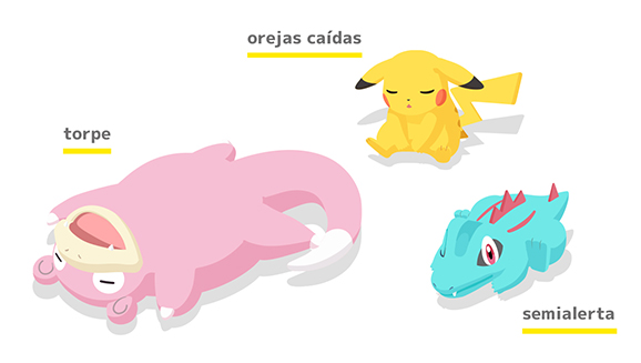 como duermen los pokemon como duermen los pokemon
