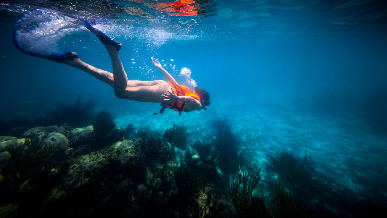 ¿Qué son los cenotes de Yucatán_ MiCasino.com