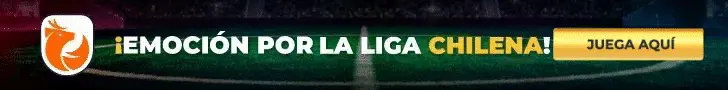 Banner primera división de chile liga chilena fútbol chileno