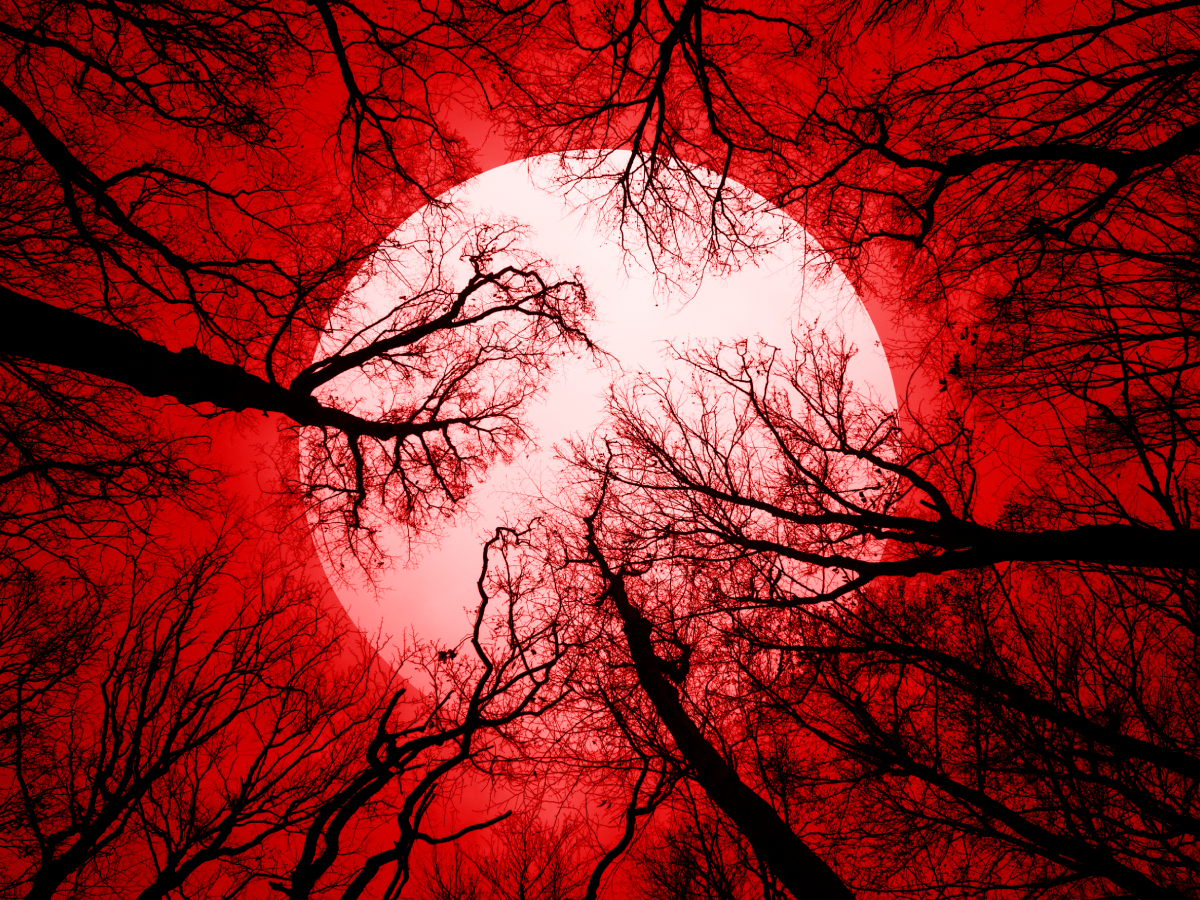 Eclipse lunar de marzo 2025 Luna llena sobre Virgo luna de sangre astrología energias