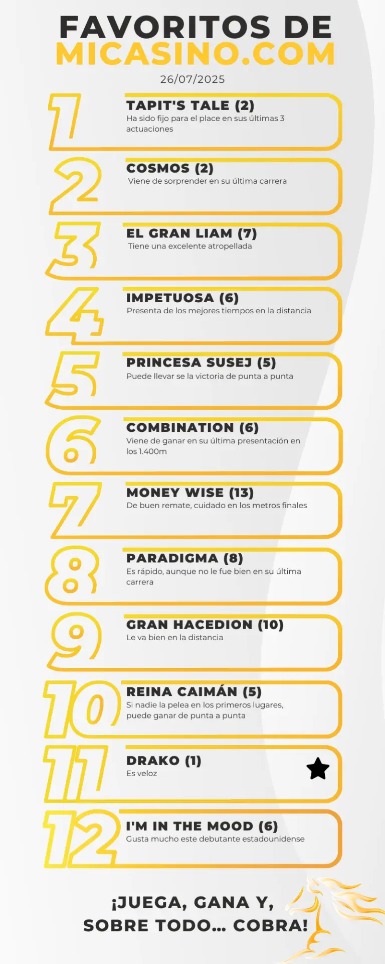 Favoritos 5y6 en LA RINCONADA_ los ejemplares más sólidos para ganar este 26 de julio MiCasino.com